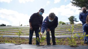 Diversificación productiva: Eje estratégico del Plan Impulso Araucanía