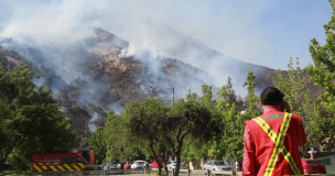 Onemi declaró Alerta Temprana para la Región Metropolitana por amenaza de incendio forestal