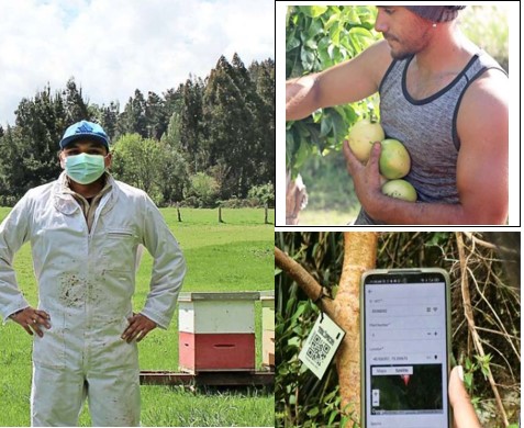 Concurso FIA: Jóvenes innovadores proponen soluciones tecnológicas para el agro
