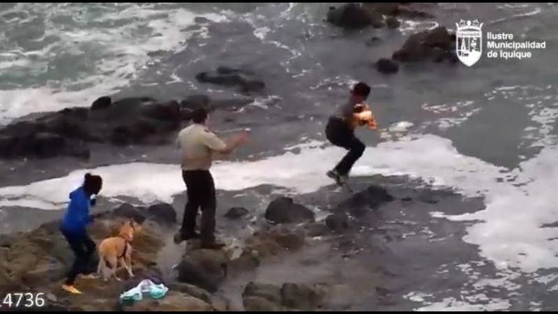 Iquique: Detienen a padre que ingresó al mar con lactante de 11 días para evitar traslado a hospital