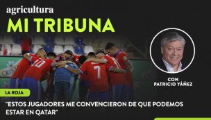 [Video] Columna de Pato Yáñez: 