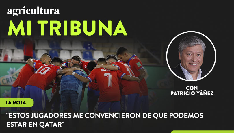 [Video] Columna de Pato Yáñez: “Estos jugadores me convencieron de que podemos estar en Qatar”
