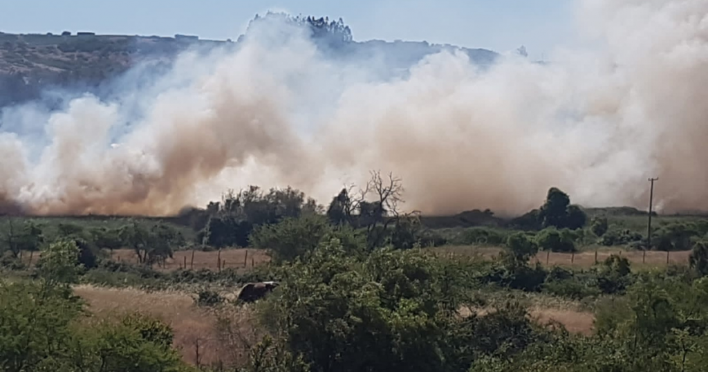 Región de O’Higgins: Declaran Alerta Roja en Litueche por incendio forestal