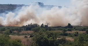 Región de O'Higgins: Declaran Alerta Roja en Litueche por incendio forestal