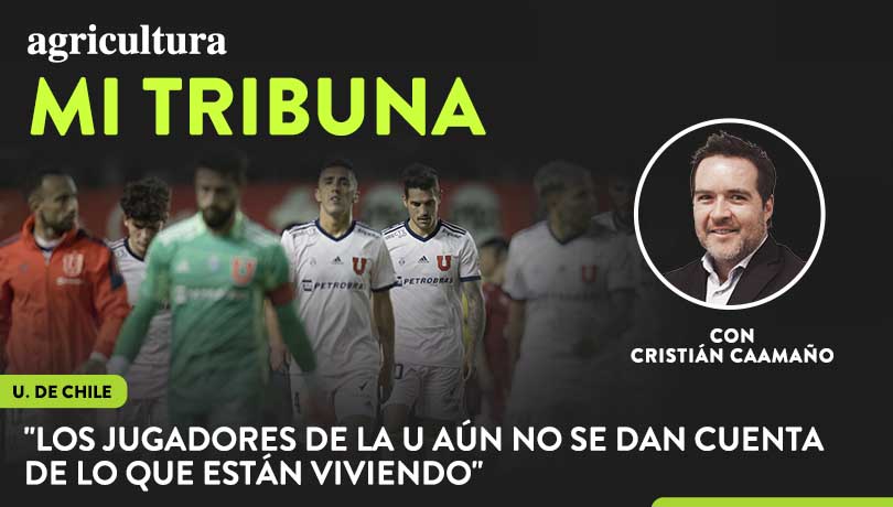 [Video] Columna de Cristián Caamaño: “Los jugadores de la U aún no se dan cuenta de lo que están viviendo”