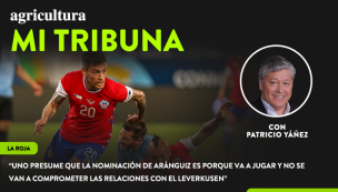 [Video] Columna de Patricio Yáñez: “Uno presume que la nominación de Aránguiz es porque va a jugar y no se van a comprometer las relaciones con el Leverkusen”