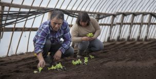 Pobreza rural y experiencias para su superación en Chile y América Latina abordó seminario Indap FAO