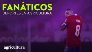 [Audio] Disfruta de la última entrega del podcast Fanáticos, esta vez dedicado a las posibilidades de la Roja de meterse en Qatar 2022