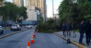 Árbol se desprendió de la ladera del Cerro Santa Lucía y bloqueó parte de la Alameda en dirección poniente