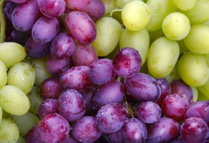 USDA entrega proyecciones de las exportaciones de uvas de mesa chilenas y pomáceas