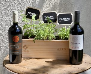 Viña Aresti presenta sus primeros siete vinos veganos