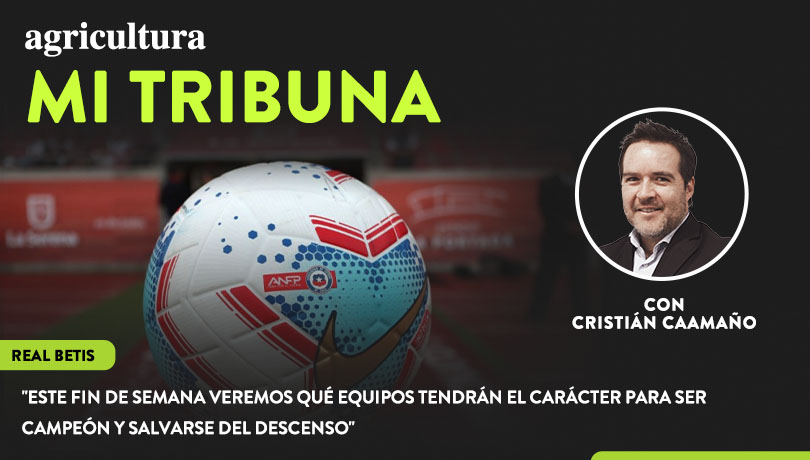 [Video] Columna de Cristián Caamaño: “Este fin de semana veremos qué equipos tendrán el carácter para ser campeón y salvarse del descenso”