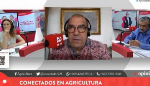 Checho Hirane evaluó participación de Kast el debate: 