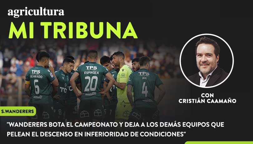 [Video] Columna de Cristián Caamaño: “Wanderers bota el campeonato y deja a los demás equipos que pelean el descenso en inferioridad de condiciones”