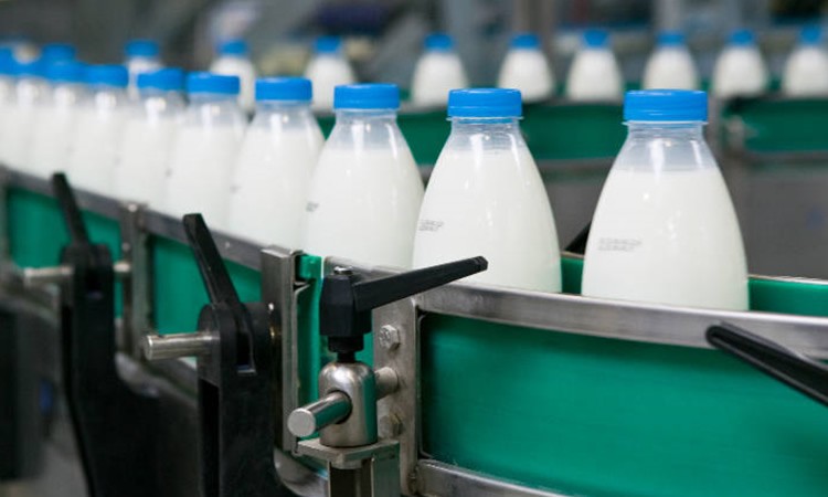 Exportaciones lácteas arrancan el año con un aumento de 37,4% frente al año anterior