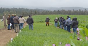 Proyecto busca validar nuevas especies forrajeras en contexto de déficit hídrico