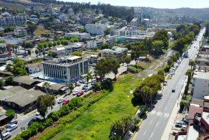 Ingresan solicitud para que Estero de Reñaca sea declarado humedal urbano