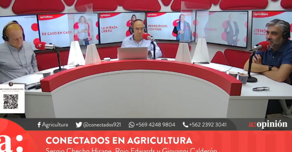 Checho Hirane: “He escuchado a muchos que si sale Kast se van de Chile, los invito a que se vayan pero a Venezuela”