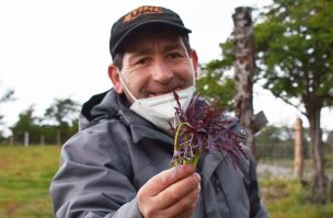 Abre Mercado Campesino de Punta Arenas en recinto de Asogama