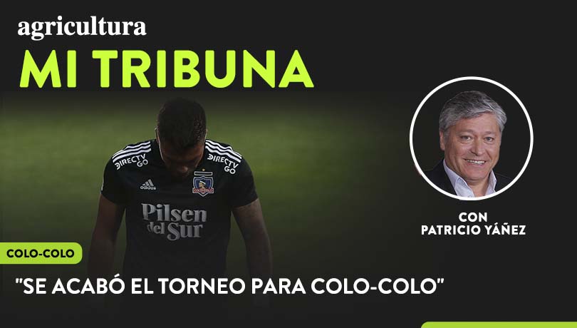 [Video] Columna de Pato Yáñez: “Se acabó el torneo para Colo-Colo”