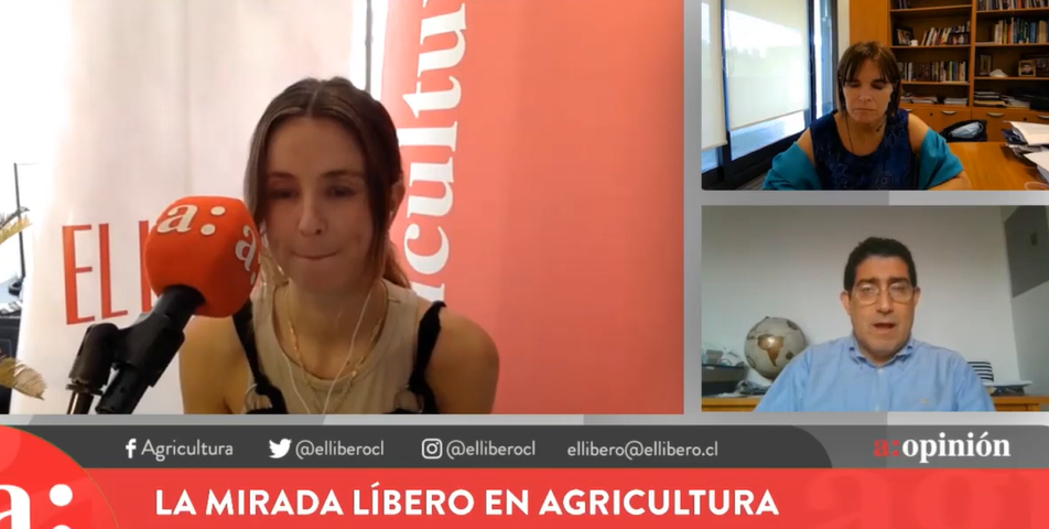 Patricio Navia y viaje de Kast a Estados Unidos: “No tiene mucho sentido”