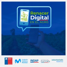 Más de dos mil agricultores podrán capacitarse en uso de herramientas online gracias a “Renacer Digital en el Agro”