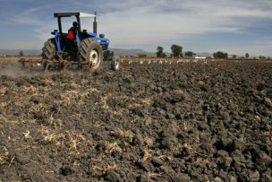 Agricultores de la macrozona sur sufren por abrupto aumento de costos de producción y escasez de mano de obra