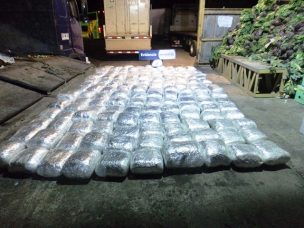 Aduanas interceptó 160 kilos de marihuana en camión verdulero