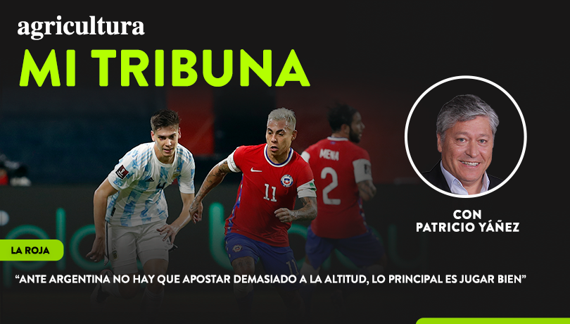 [Video] Columna de Patricio Yáñez: “Ante Argentina no hay que apostar demasiado a la altitud, lo principal es jugar bien”