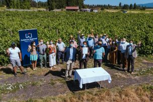 Productores de uva y vino de la Zona de Rezago reciben apoyo del Gobierno Regional para producción limpia