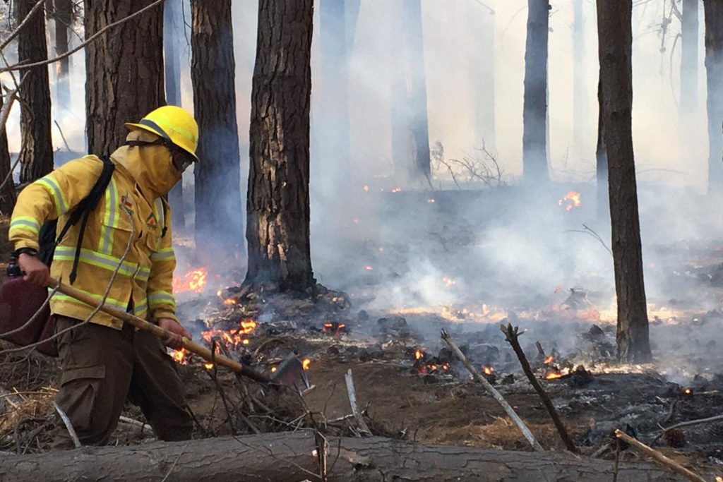 Onemi solicita la evacuación del sector de Coyanco tras reactivarse el incendio forestal de Quillón