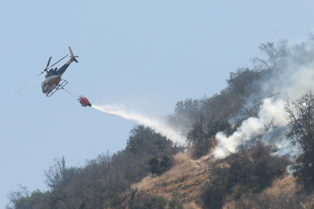 Alerta Roja para la comuna de Requínoa por incendio forestal