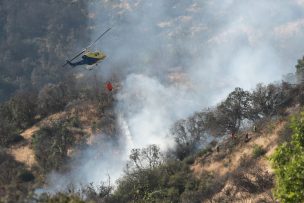 Incendio en Los Sauces y Angol ha consumido 9 mil hectáreas