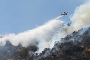 Mantienen Alerta Roja para Requínoa y Machalí por incendio forestal