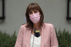 Ministra Zalaquett respondió a Irina Karamanos, pareja de Gabriel Boric, por femicidio de Renca