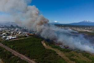 Empresas forestales apoyan a Conaf y Onemi en combate de incendios forestales en Los Sauces y Quillón