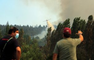 Fiscalías de Ñuble y La Araucanía abren investigaciones por incendios forestales en Quillón, Los Sauces y Angol