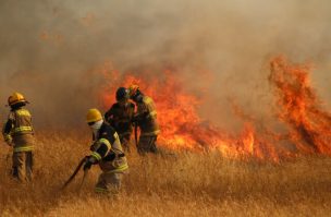 Quillón: Se mantiene la alerta roja por incendio forestal