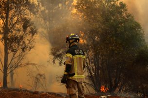 Coquimbo: Refuerzan el llamado a la población a prevenir incendios forestales