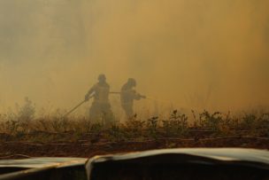 Onemi declara Alerta Temprana Preventiva para la RM por amenaza de incendio forestal