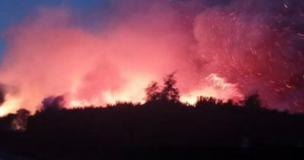 Onemi declara Alerta Roja en Arauco por incendio forestal que amenaza a casas: Llamas han consumido 20 hectáreas