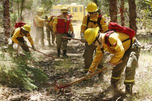 Incendio en La Araucanía: Empresas forestales apoyan con 10 aeronaves y 316 brigadistas