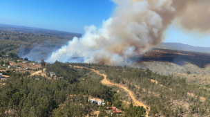 Declaran Alerta Roja para la comuna de Algarrobo por incendio forestal