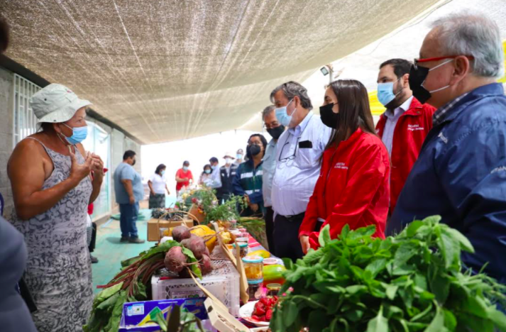 Ministra Undurraga y proyecto Pampa Concordia: “Es un ejemplo de cómo producir alimentos en el desierto”