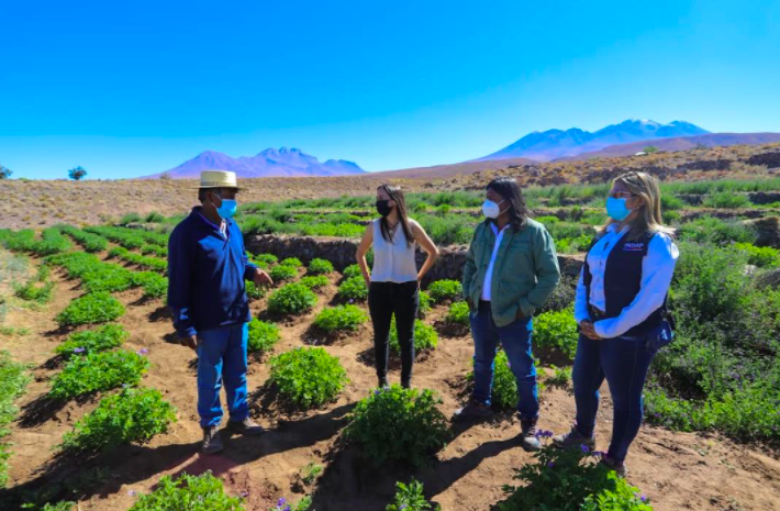 Ministra Undurraga en la Región de Antofagasta: “Tenemos que aprender de estos territorios y de lo que hacen para enfrentar la escasez de agua”
