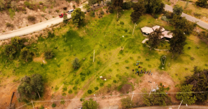 Parquemet anuncia retiro de 53 mil metros cuadrados de césped para reducir la cantidad de agua utilizada en el riego