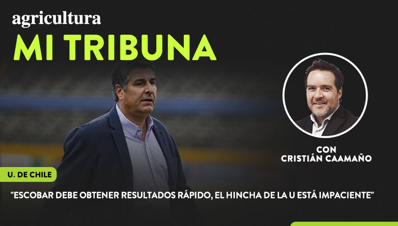 [Video] Columna de Cristián Caamaño: “Escobar debe obtener resultados rápido, el hincha de la U está impaciente”