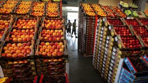 Convención desmiente moción para prohibir la exportación de frutas