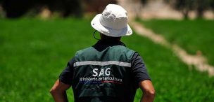 Fortalecimiento del SAG: senadores apuntan a enfatizar su rol fiscalizador