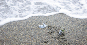 Seremi de Salud de Coquimbo retira prohibición de baño en las playas de La Serena y Coquimbo por Fragata Portuguesa